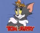 Том и Джерри являются главными действующими лицами забавных приключений